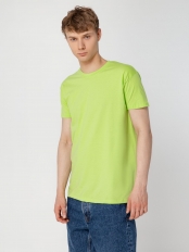 Футболка Regent 150, зеленое яблоко
